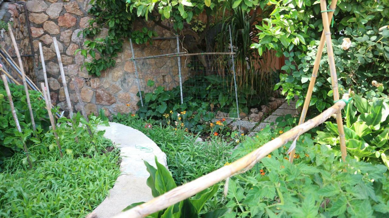 Apartament La Casa Di Elba E Mario Porto Santo Stefano  Zewnętrze zdjęcie